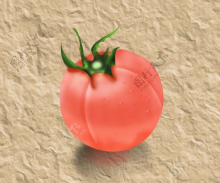 纸上新鲜红润带水珠的熟透的番茄西红柿下载