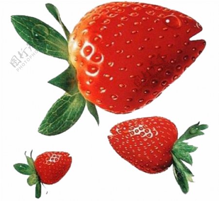 创意草莓png