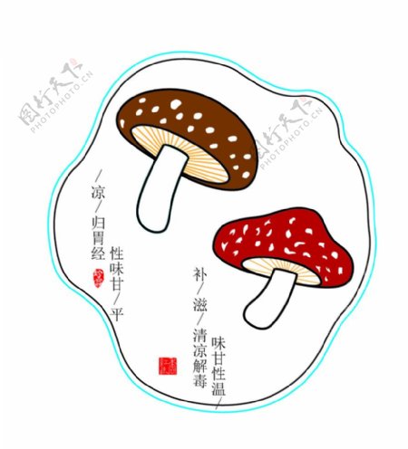 蘑菇香菇图片
