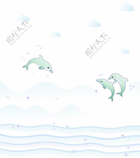 海豚宝宝