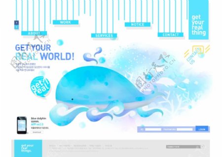 海豚网页
