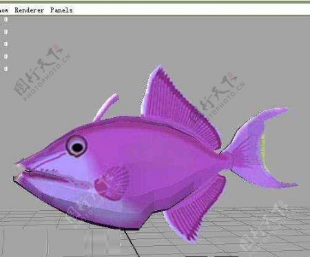 紫色带鱼模型