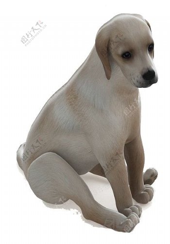 小狗动物3d模型