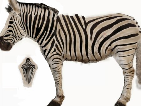 斑马动物3D模型素材