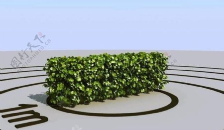 高精细灌木模型bush02