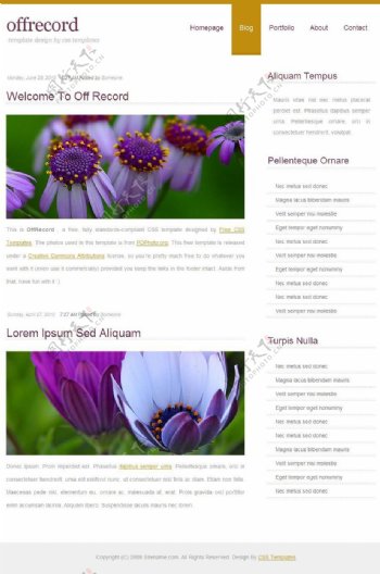 紫色菊花BLOG网页模板