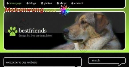 狗最忠实的朋友主题网页模板