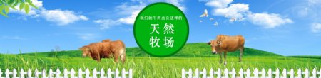 畜牧业网页banner