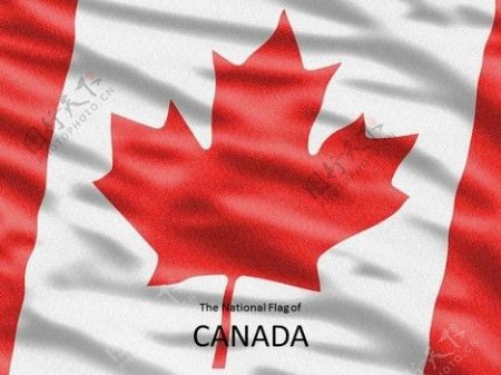 加拿大国旗模板