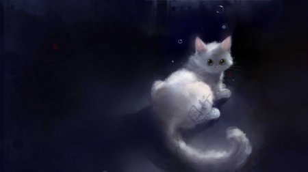 水彩插画之小白猫