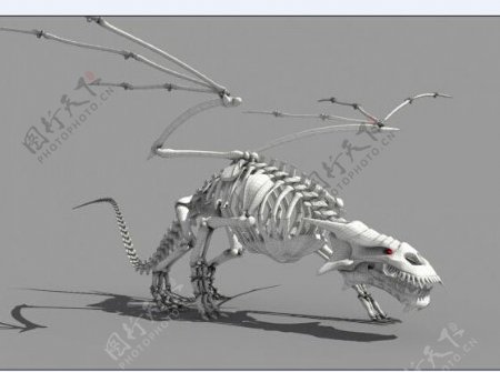 龙骨架模型