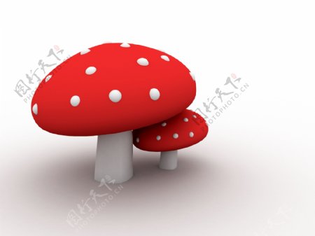 红色的有毒蘑菇白色隔离