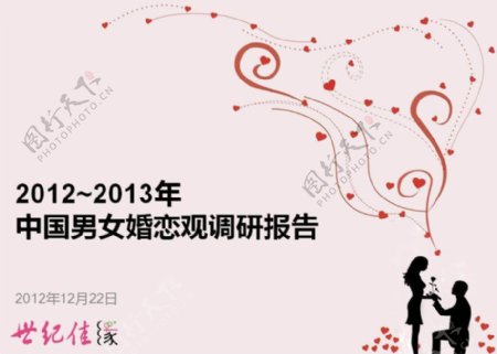 20122013中国男女婚恋观调查报告粉皮书
