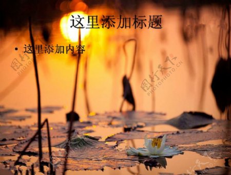 中国国家地理杂志2012全球摄影大赛自然风景PPT8