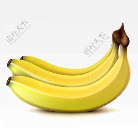 矢量香蕉水果图片素材