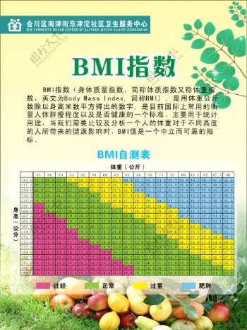 BMI健康指数