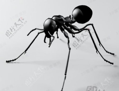 3D蚂蚁模型