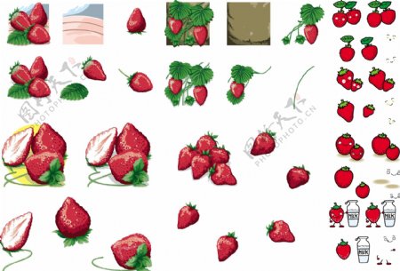 草莓合集图片