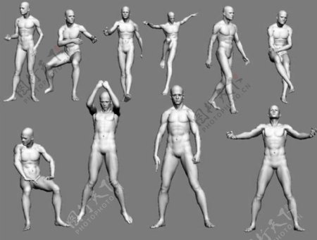 人物男性3d模型素材人物模型素材免费下载3d人体效果39