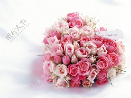 鲜花特写花的艺术浪漫的心粉红色玫瑰花