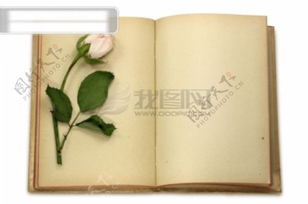 玫瑰花与旧书本精品图片