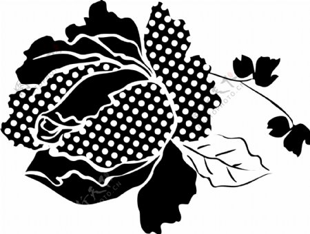 印花矢量图优雅植物玫瑰花色彩黑色免费素材