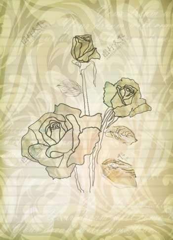 精美的手绘玫瑰花背景矢量