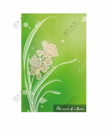 绿色花卉底纹背景矢量素材
