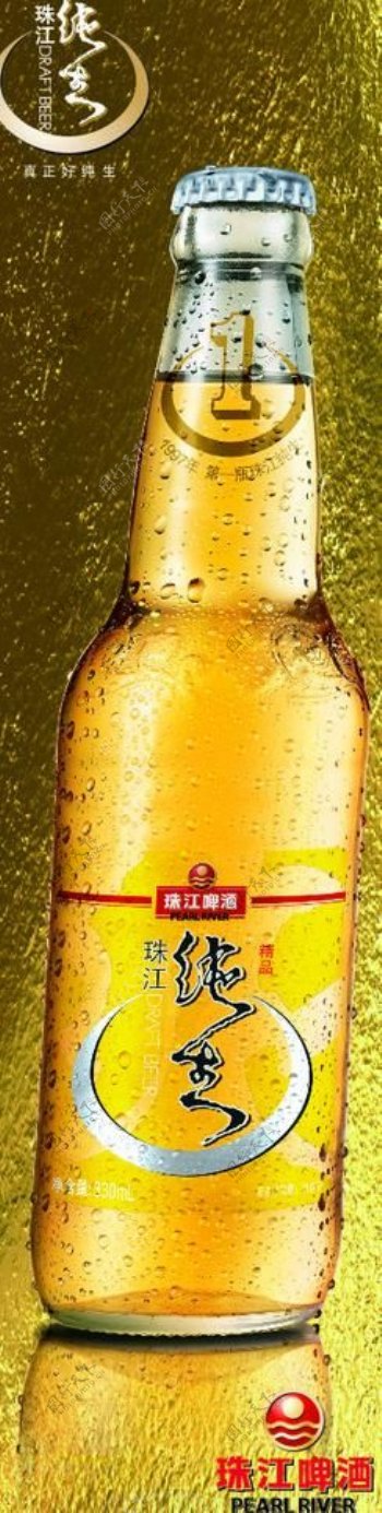 珠江纯生啤酒图片