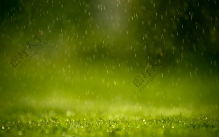 下雨雨滴绿色背景高清图片素材下载