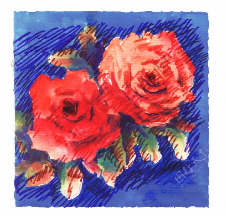 原创手绘红玫瑰图片