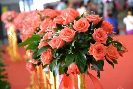 深圳会展中心珠宝展开幕式台上的玫瑰花图片