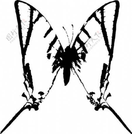 全球首席大百科水墨黑白笔刷昆虫蝴蝶虫子拓印