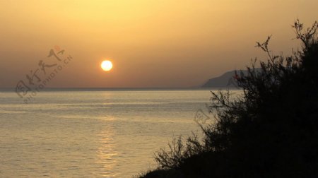 西西里岛日落和杂草的股海的录像