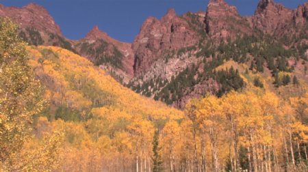 红色的悬崖和秋天的树木2股票的录像视频免费下载