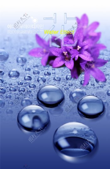 蓝色水珠花朵海报背景素材