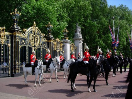 英国御林军骑兵皇宫门口图片