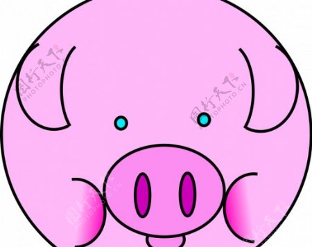 粉红猪矢量图像