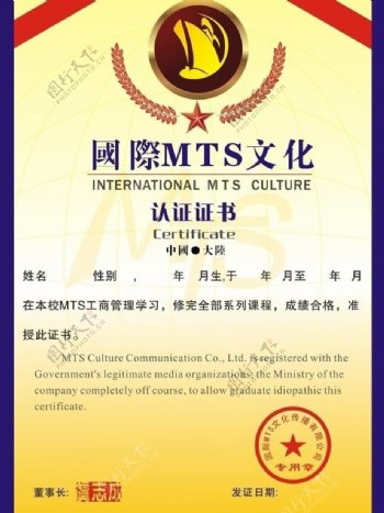 国际MTS商学院证书