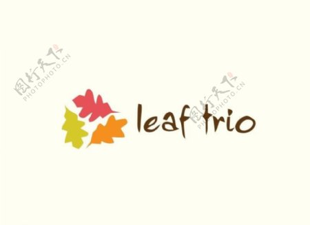 叶子logo图片