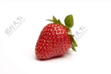 设计素材新鲜草莓