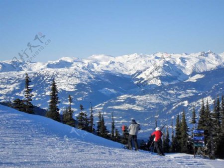 高山滑雪运动旅游PPT模板