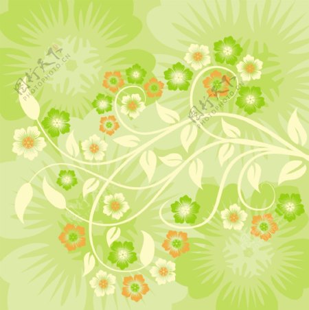 五角花植物花纹矢量图