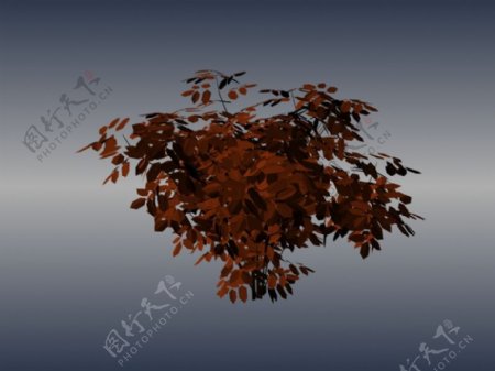 植物小树装饰素材室内装饰素材免费下载3d模型免费下载17