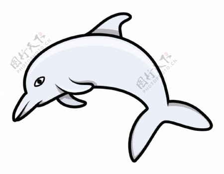 海豚卡通矢量图