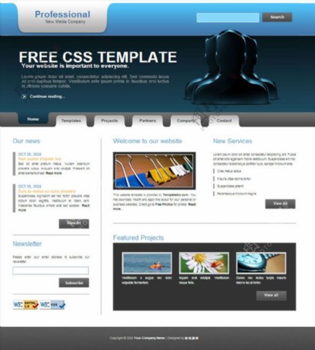 新媒体公司CSS模板