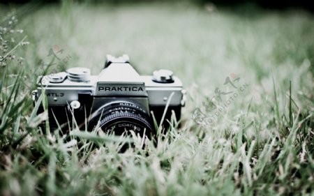 草丛上的相机图片