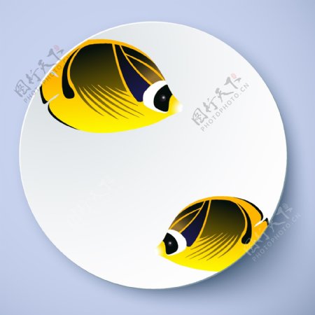 盘子花纹鱼图案