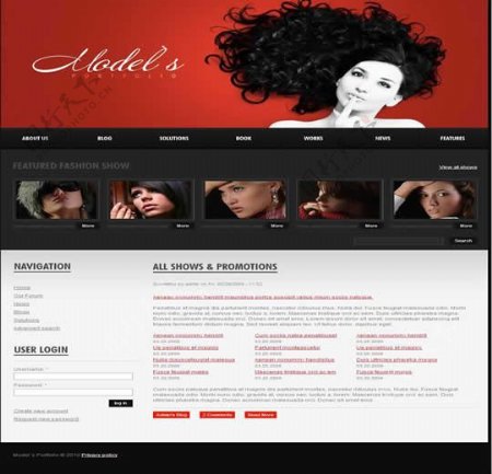 国外头发护理网站模版