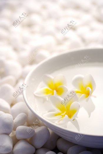 岩石白石石头花朵黄花碗